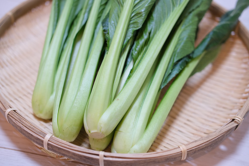 野菜本来の旨さを味わってもらうために